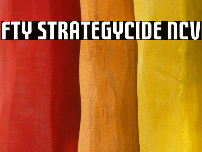 FTY STRATEGYCIDE NCV Caratteri examples