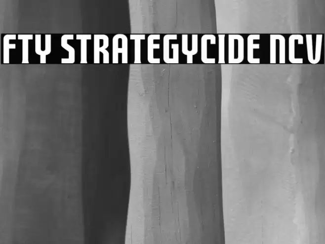 FTY STRATEGYCIDE NCV Шрифта examples