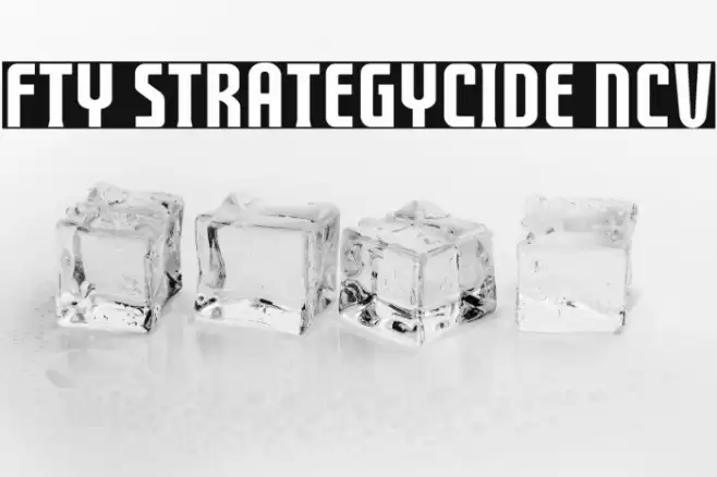 FTY STRATEGYCIDE NCV Шрифта examples