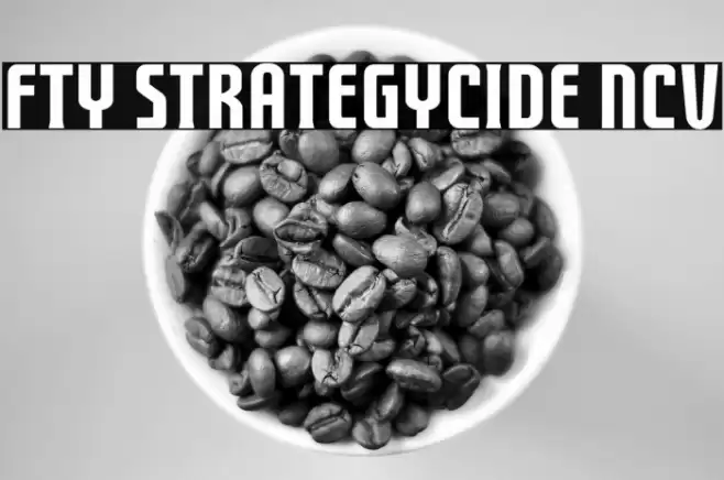FTY STRATEGYCIDE NCV Шрифта examples