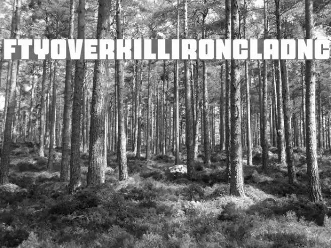 FTYOverKillIroncladNC خط examples