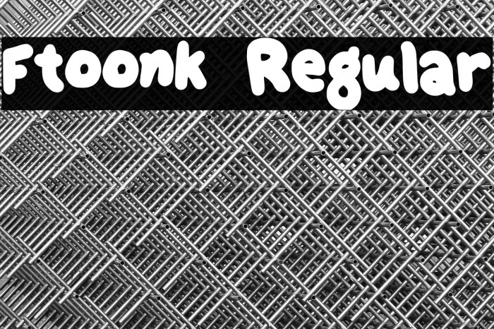 Ftoonk Regular Example 2