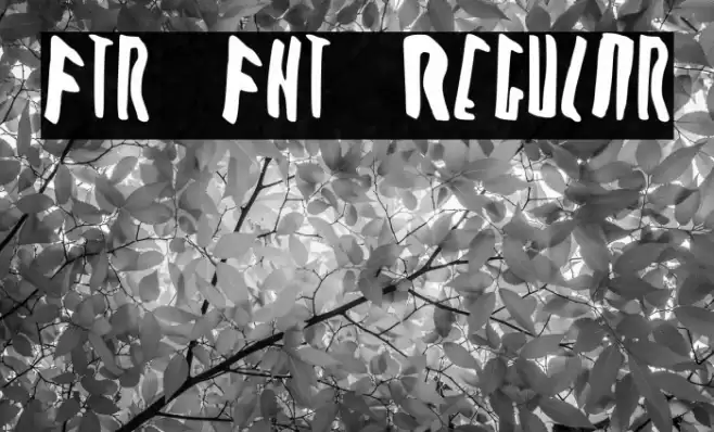 Ftr Fnt Regular Fuentes examples
