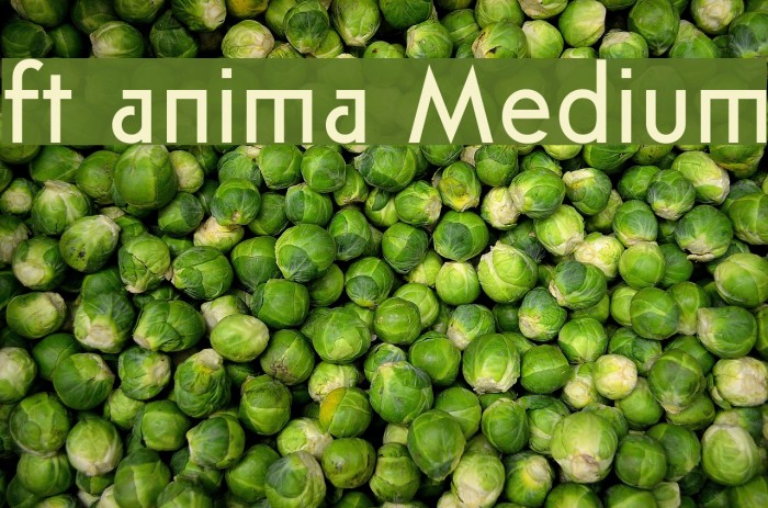 ft anima Medium Font examples