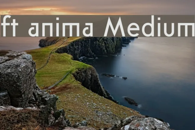 ft anima Medium Example 2