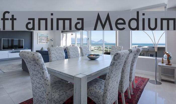 ft anima Medium Font examples