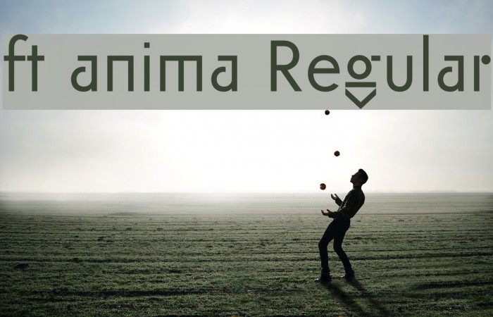 ft anima Regular Font examples