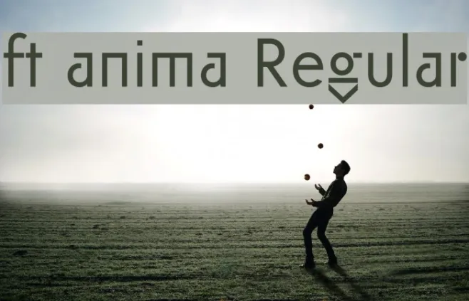ft anima Regular Example 1