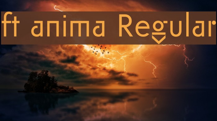 ft anima Regular Font examples