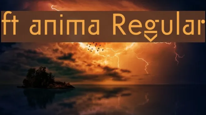 ft anima Regular Example 2