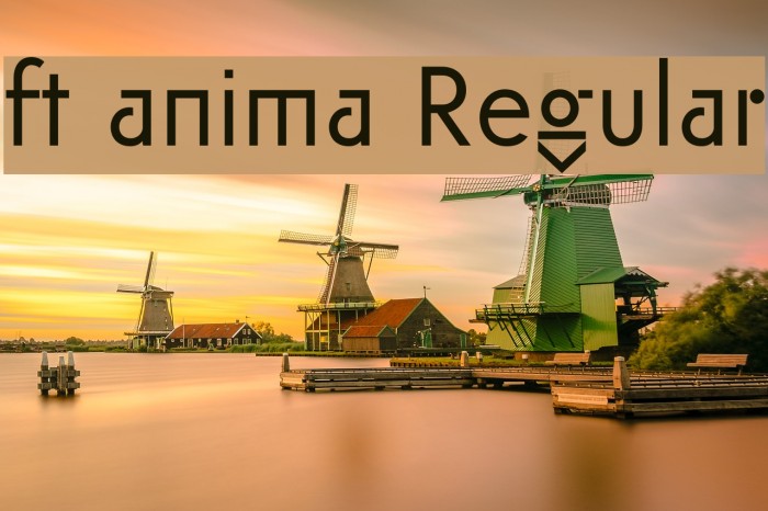 ft anima Regular Font examples
