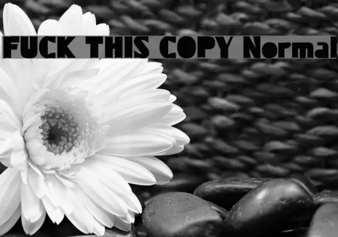 FUCK THIS COPY Normal Font examples
