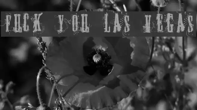 FUCK YOU LAS VEGAS Schriftart examples