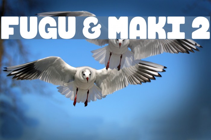 FUGU & MAKI 2 Example 1