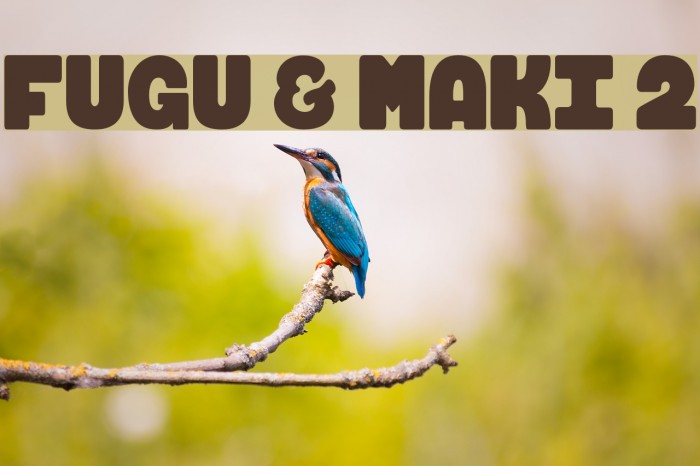 FUGU & MAKI 2 Example 3