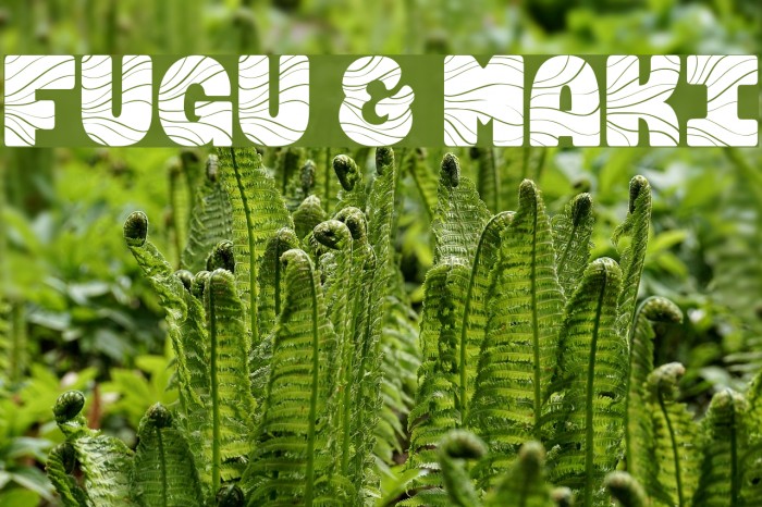 FUGU & MAKI Font examples