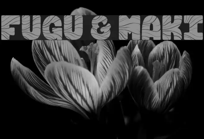 FUGU & MAKI Font examples