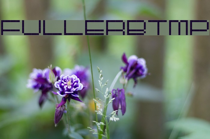 FULLERBTMP Font examples
