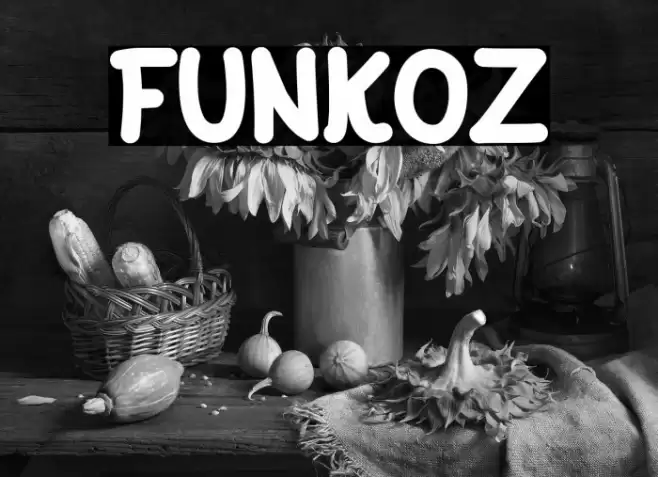 FUNKOZ फ़ॉन्ट examples
