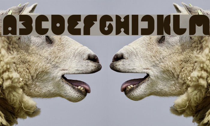 FUNNY SPORT-Light Font examples