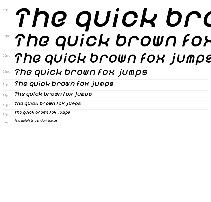 FUNRECORD Bold Italic Waterfall