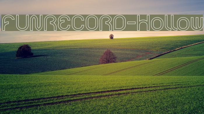 FUNRECORD-Hollow Example 3