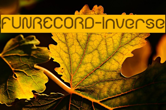 FUNRECORD-Inverse Font examples