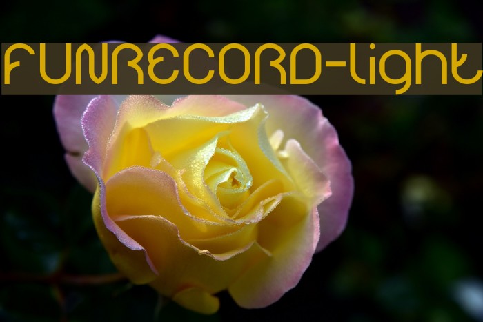 FUNRECORD-light Font examples