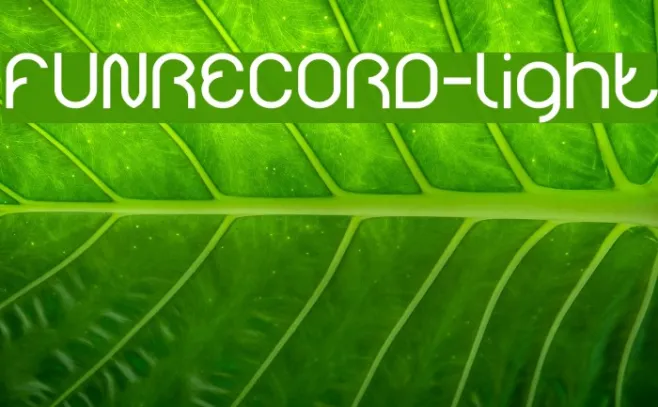 FUNRECORD-light Example 2