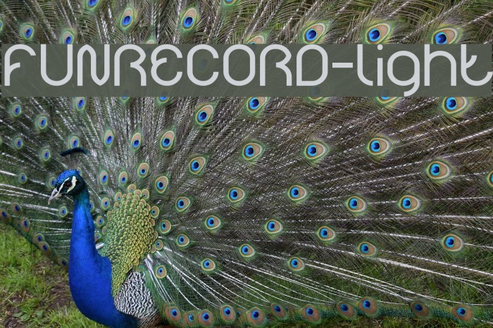 FUNRECORD-light Font examples