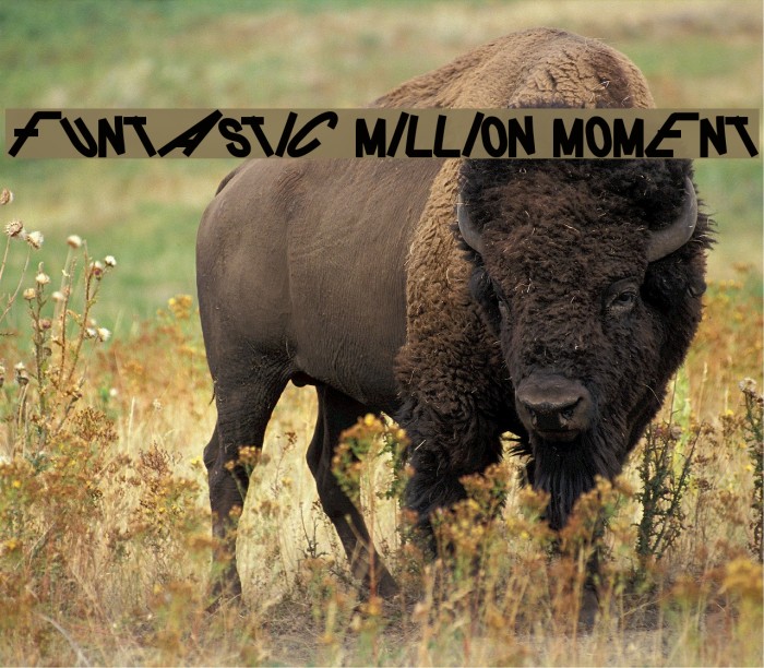 FUNTASTIC MILLION MOMENT Font examples