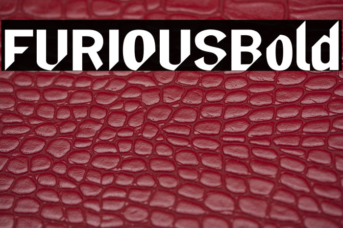 FURIOUS-Bold Example 3