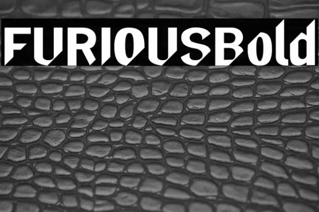 FURIOUS-Bold Font examples