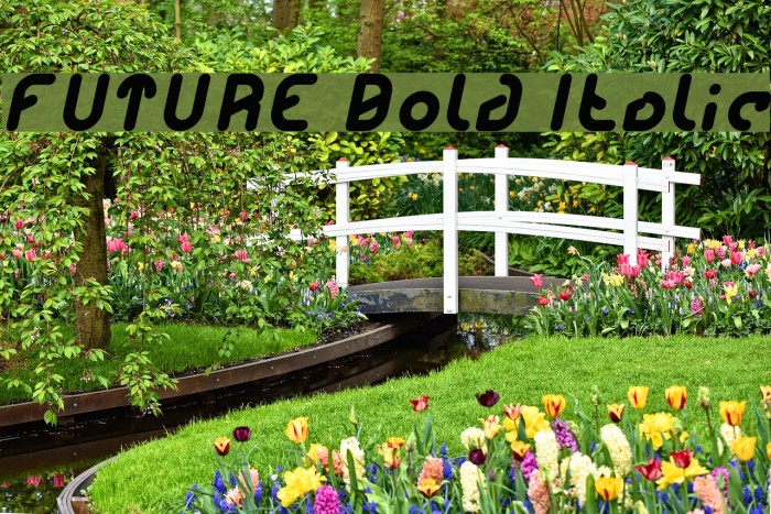 FUTURE Bold Italic Font examples