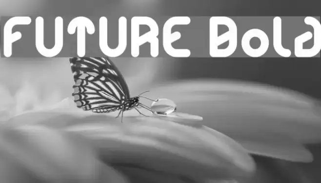 FUTURE Bold Font examples