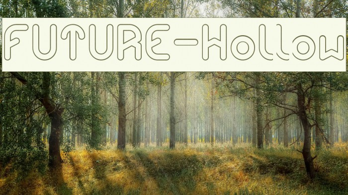 FUTURE-Hollow Example 3