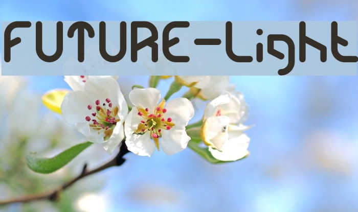 FUTURE-Light Font examples
