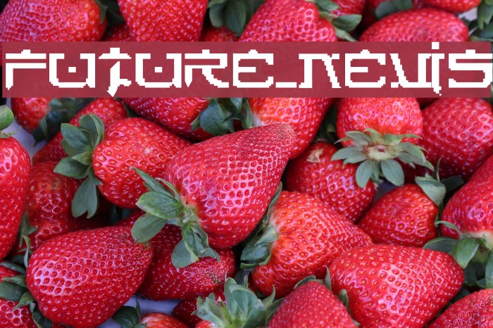 FUTURE_NEWS Font examples