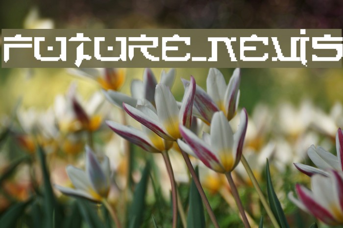 FUTURE_NEWS Font examples