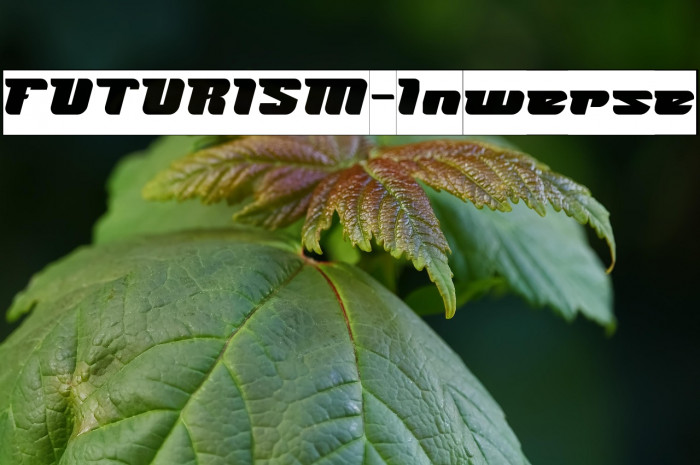 FUTURISM-Inverse Example 1