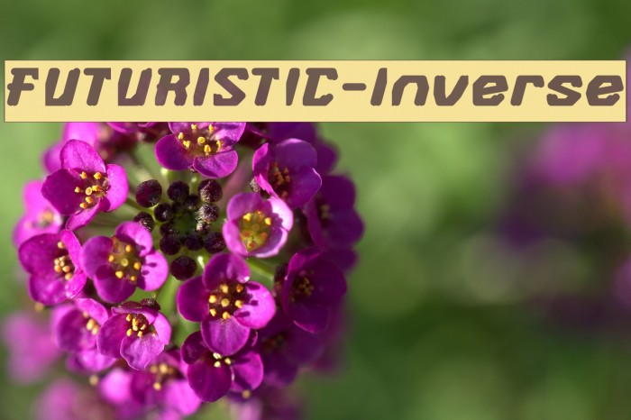 FUTURISTIC-Inverse Font examples
