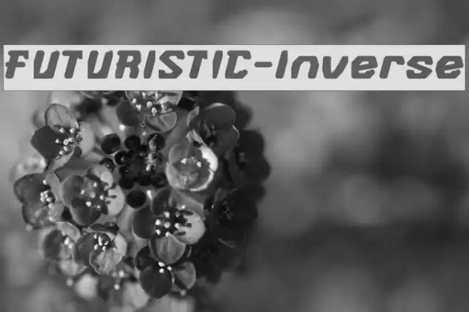 FUTURISTIC-Inverse Шрифта examples