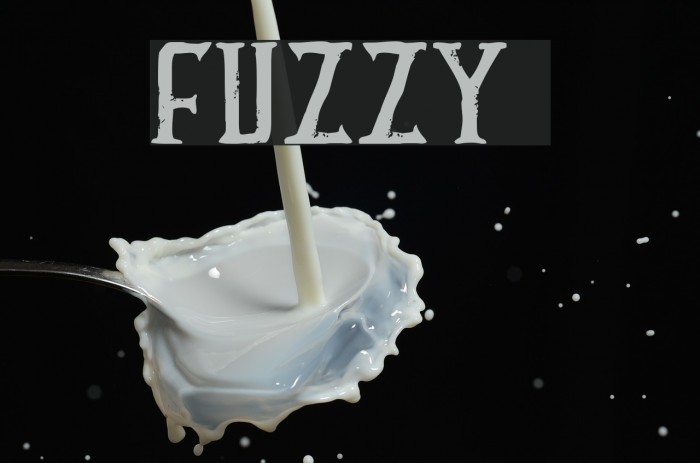FUZZY bold Font examples