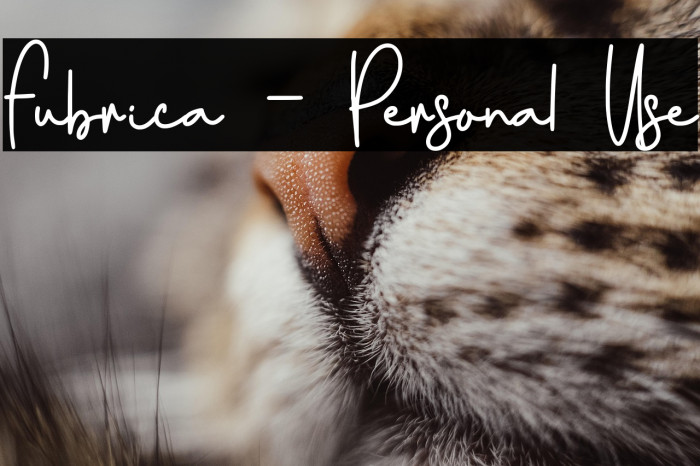 Fubrica - Personal Use Example 3