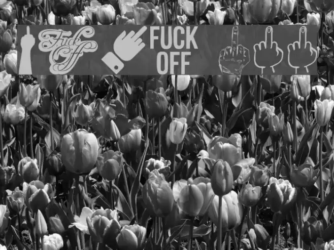 Fuck Off Font examples