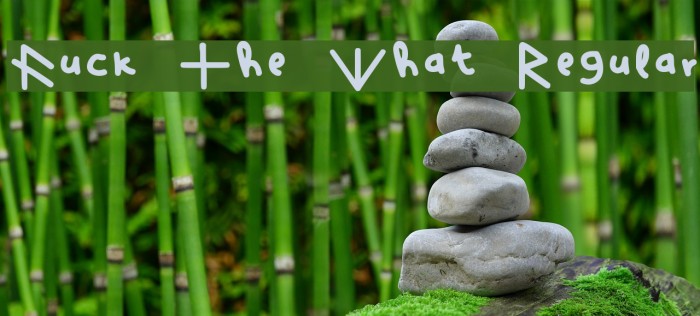 Fuck The What Regular Example 2