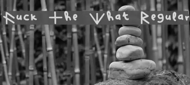 Fuck The What Regular Font examples