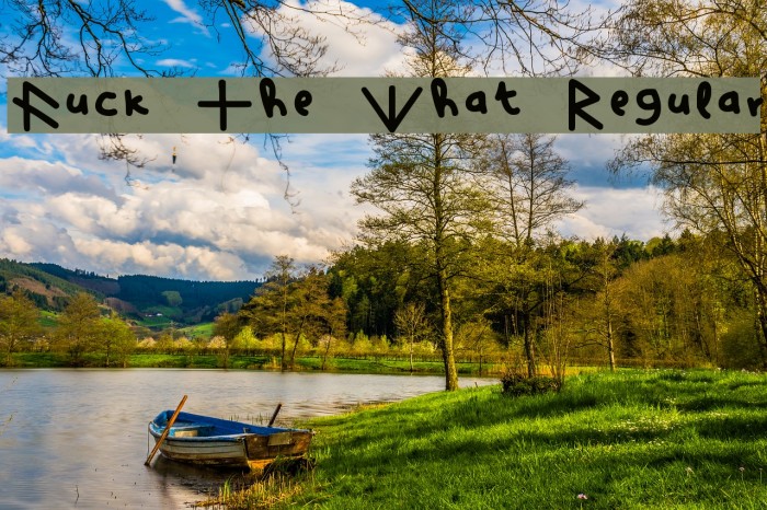 Fuck The What Regular Example 3