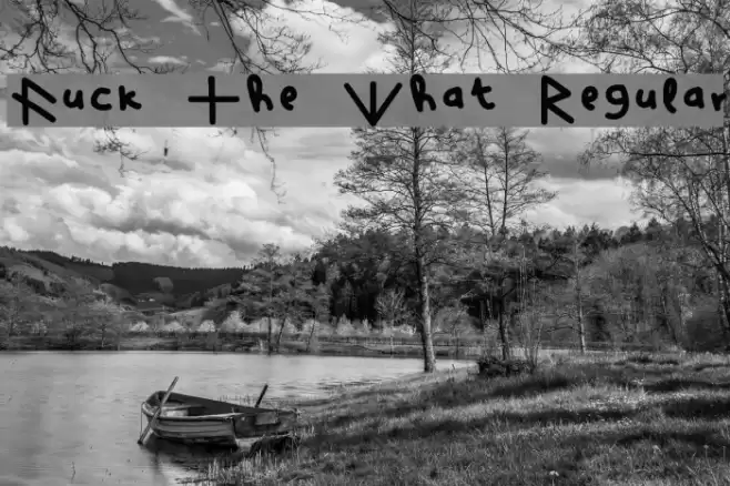 Fuck The What Regular Font examples