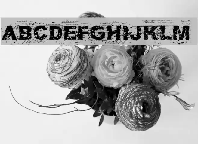 FuckAutority Regular Font examples